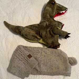 Medium Dog: Dinosaur Costume & Knit Sweater